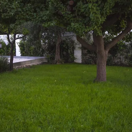 Adelaide & 토레 아 마레