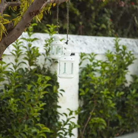 Adelaide & Bed & Breakfast 4*