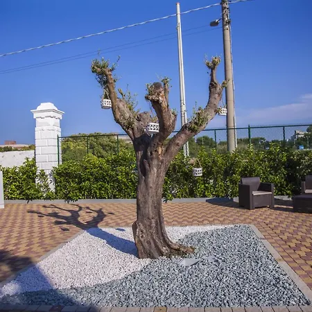 Adelaide & Bed and Breakfast