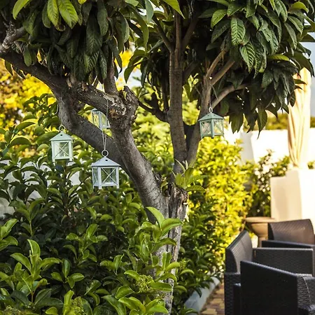 Adelaide & Bed & Breakfast Torre A Mare