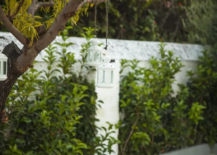 Adelaide & Bed & Breakfast 4*